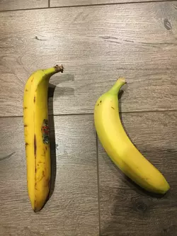 I 10 Migliori Connettori A Banana